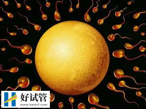 马来西亚第三代试管婴儿优势有哪些？NGS筛查准确率可达99%(图5)