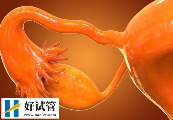 供精做试管可能会导致卵巢早衰