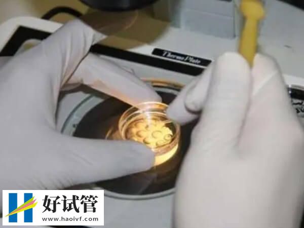 39岁做试管婴儿成功率有多少(图1)