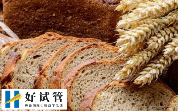 谷物主食包括全麦面包