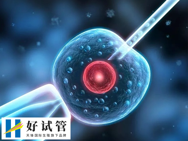 已婚状态外籍人士才能在俄罗斯做试管