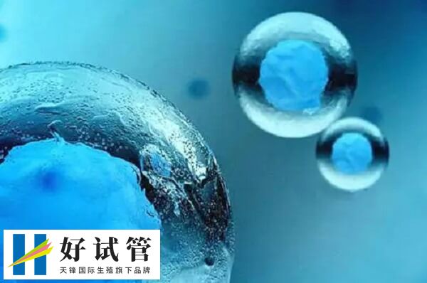 胚胎染色体异常会影响成功率