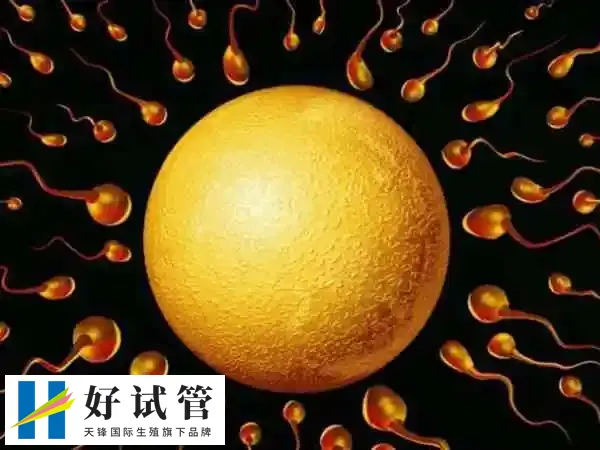 一个试管周期的总成本大概3~8万元不等