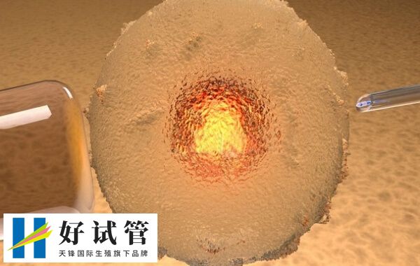 三代试管不管是养囊还是筛查都难