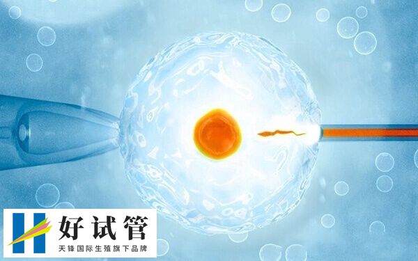 试管移植后要避免过激的情绪