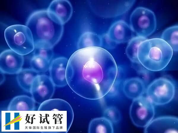 试管移植后多注意休息