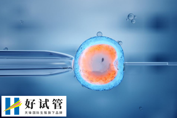 41岁做试管成功率较低