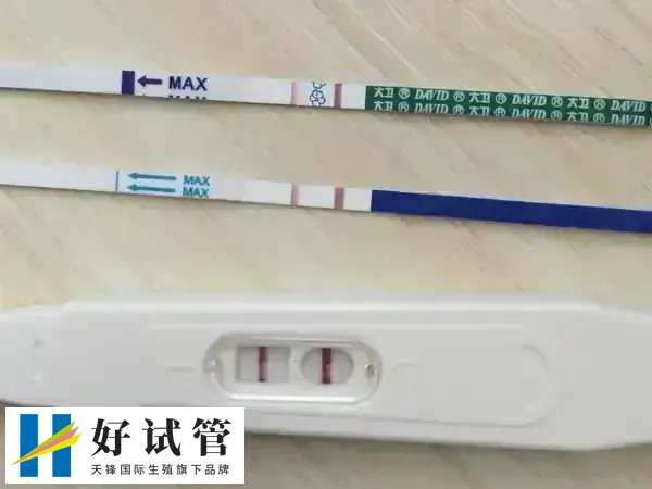 验孕棒过期会影响其准确性