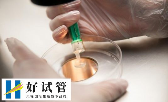 佛山哪家医院做试管婴儿成功率比较高?(图1)