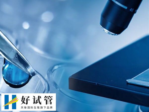 长春能做试管婴儿手术的医院真不少