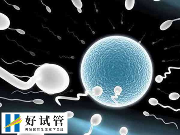 试管三级胚胎是一种辅助生殖技术