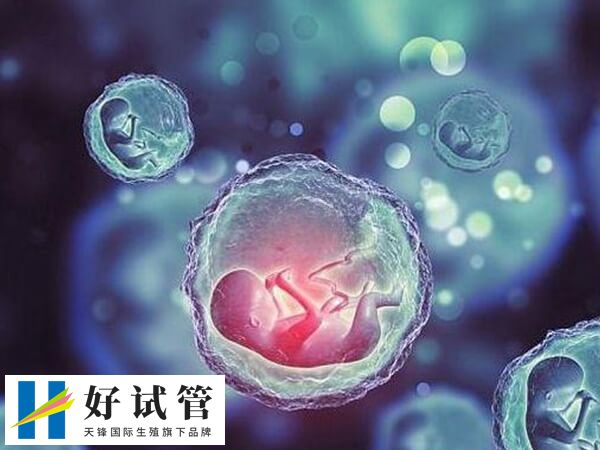 骨髓移植后做试管婴儿因人而异