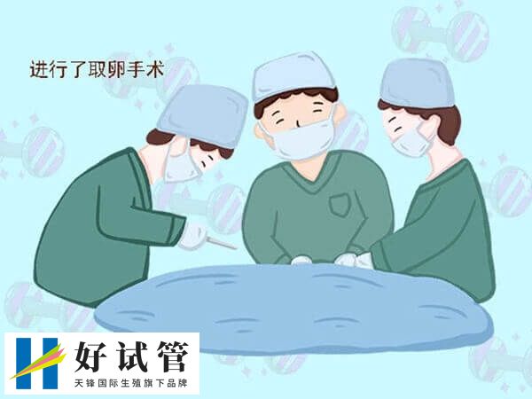 取卵手术后对女性有一定影响