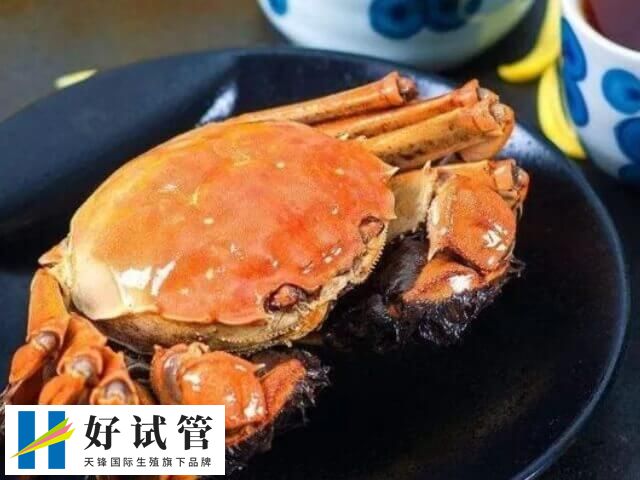 螃蟹是寒性食物对女性不好