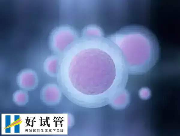 在我国做试管婴儿是有一定条件的