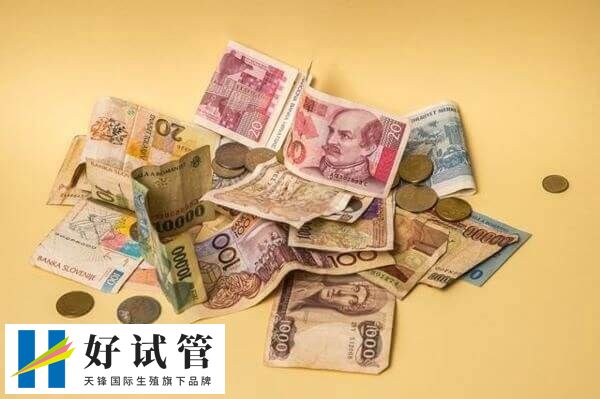 马来三代试管药物费用明细