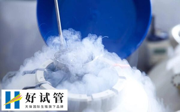 一次冻精可做2-3次试管