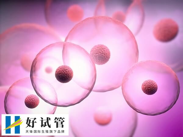 药物促排卵费用通常在5000元至10000元