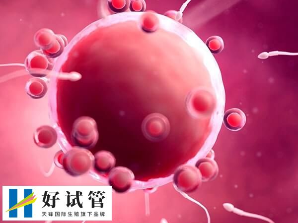 试管婴儿存在哪些风险